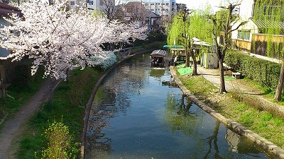 DSC_0406.jpg