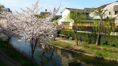 DSC_0408.jpg