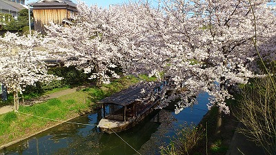 DSC_0407.jpg