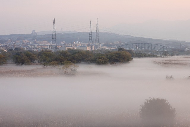 川霧に覆われた宇治川原.jpg