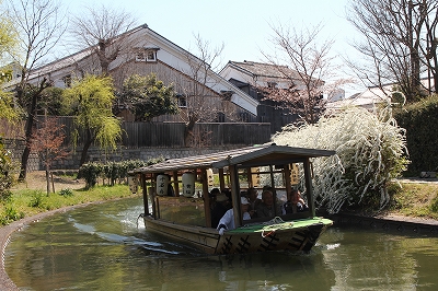 卯月・春を感じて.jpg