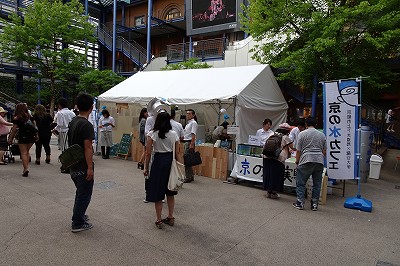 DSC00250.jpg